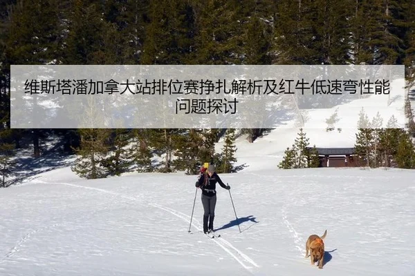 维斯塔潘加拿大站排位赛挣扎解析及红牛低速弯性能问题探讨