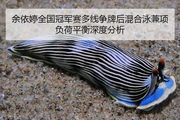 yu-yi-ting-quan-guo-guan-jun-sai-duo-xian-zheng-pai-hou-hun-he-yong-jian-xiang-fu-he-ping-heng-shen-du-fen-xi-2-996.jpg